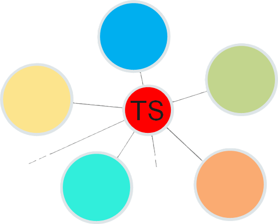 Veranstaltungsservice TS - Netzwerk